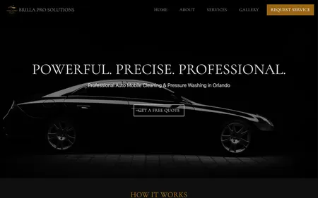 BrillaPro Car Detailing